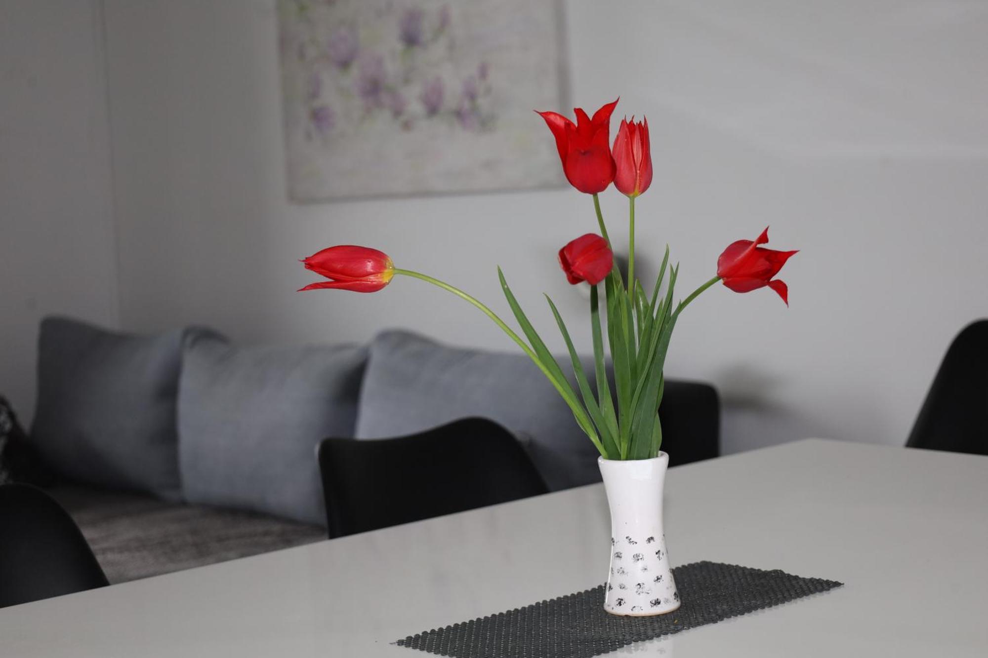 Apartma Javorscek Bovec Eksteriør bilde